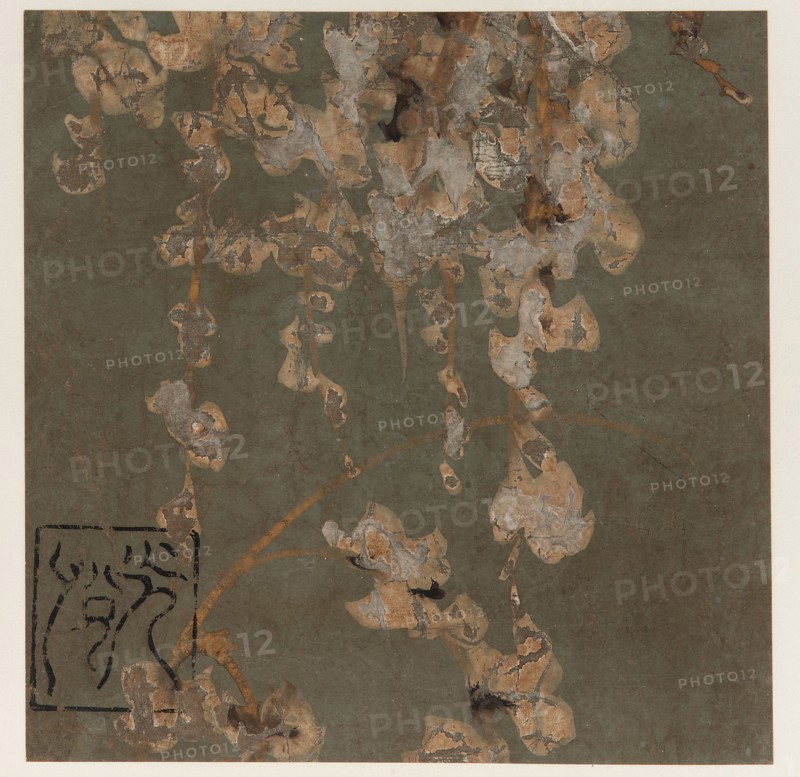 Wisteria blossoms, Edo period, early 17th century. Creator: Hon'ami Kôetsu.
