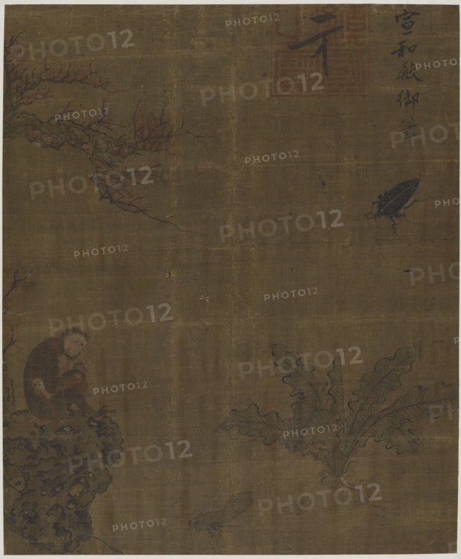 Monkeys, insects, and cabbage, Possibly Ming dynasty, 1368-1644. Creator: Unknown.