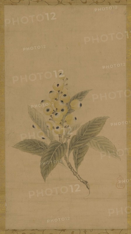 A branch of medlars, Edo period, 17th century. Creator: Kanô Tan'yû.