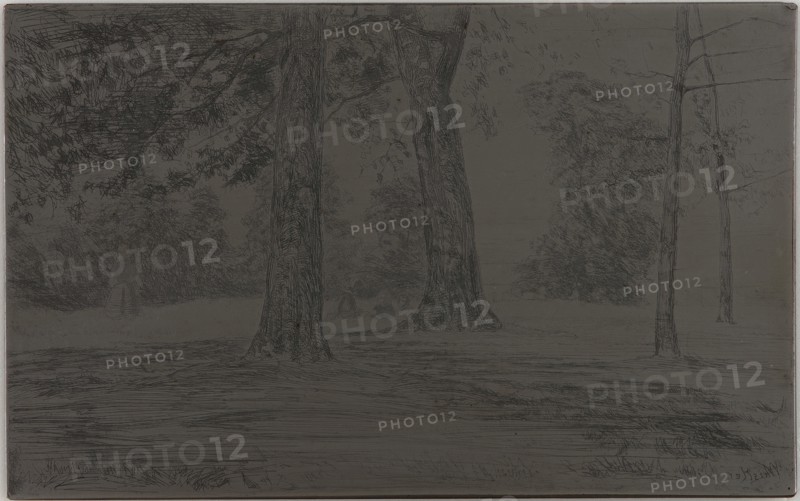 Greenwich Park, 1859. Creator: James Abbott McNeill Whistler.