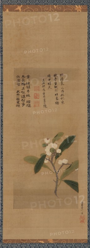A branch of loquats, Edo period, 18th century. Creator: Kanô Eisen'in Michinobu.