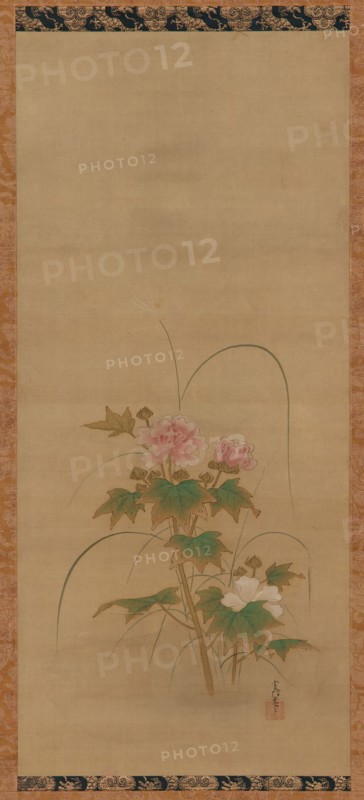Hibiscus (part of a set), Edo period, mid 17th-early 18th century. Creator: Kanô Yôboku Tsunenobu.
