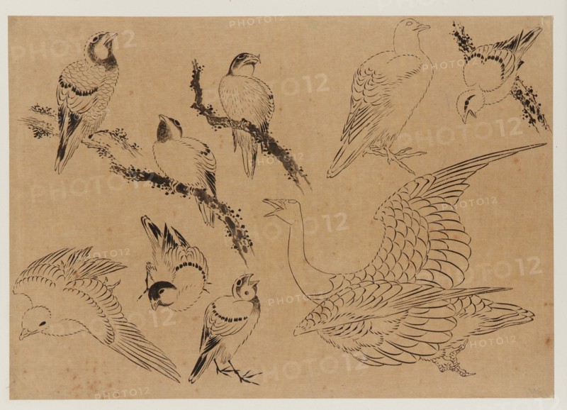 Birds, Edo period, late 18th-early 19th century. Creator: Hokusai.