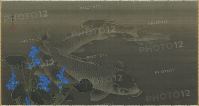Carp, Edo period, early 19th century. Creator: Kuroda Toko.