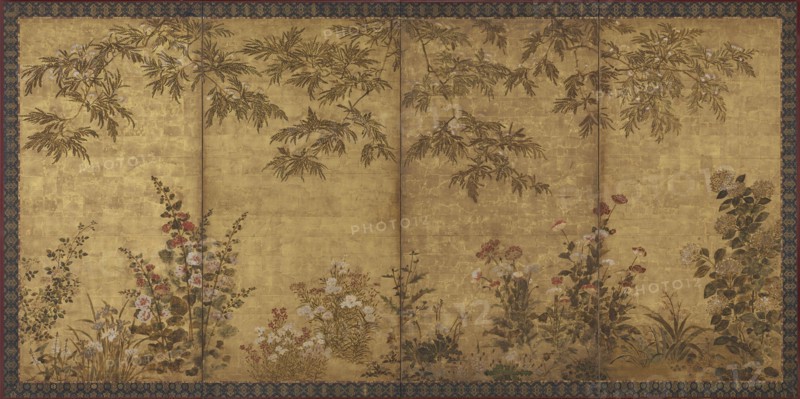 Mimosa tree, poppies and other summer flowers, Edo period, 1630-1670. Creator: Tawaraya Sosetsu.