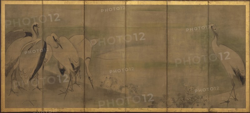 Cranes and chrysanthemums, Momoyama or Edo period, 1568-1868. Creator: Sôtatsu.