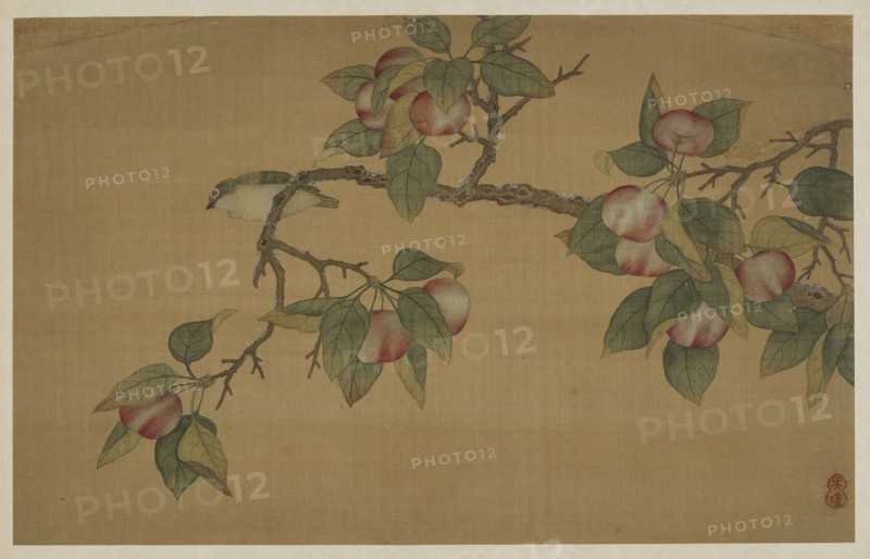 Bird and Fruit, Qing dynasty, 1741. Creator: Wu Zhang.
