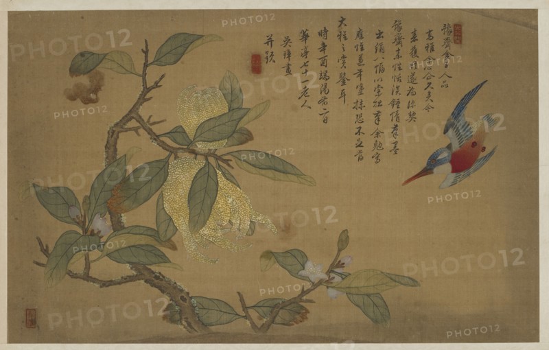 Bird, Fruit, and Flowers, Qing dynasty, 1741. Creator: Wu Zhang.