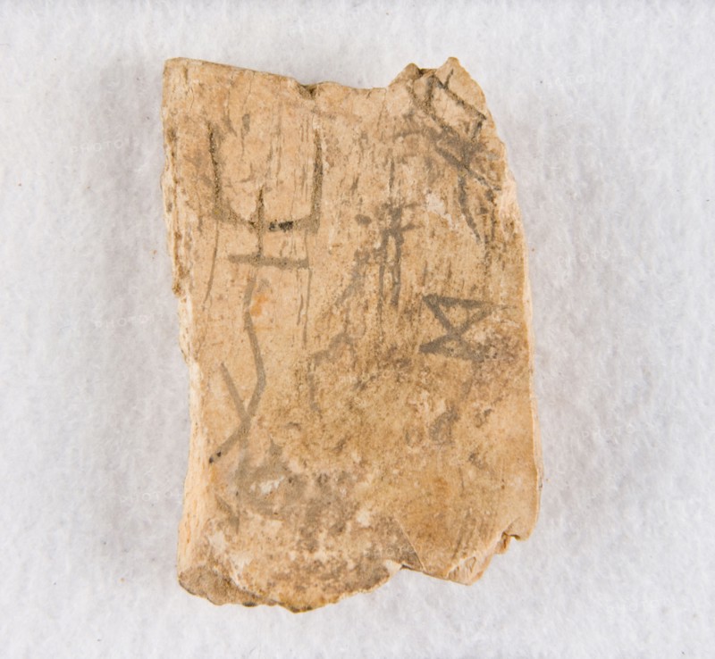 Inscribed bone fragment ("oracle bone"), Late Shang dynasty, ca. 1300-1050 BCE. Creator: Unknown.