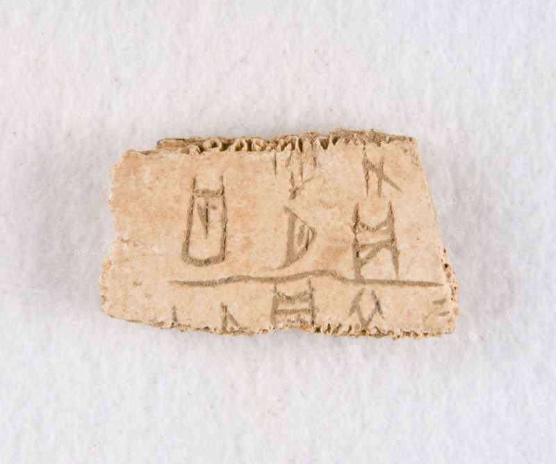 Inscribed bone fragment ("oracle bone"), Late Shang dynasty, ca. 1300-1050 BCE. Creator: Unknown.
