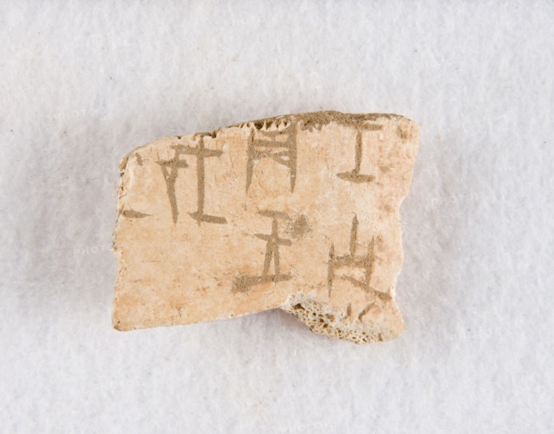 Inscribed bone fragment ("oracle bone"), Late Shang dynasty, ca. 1300-1050 BCE. Creator: Unknown.