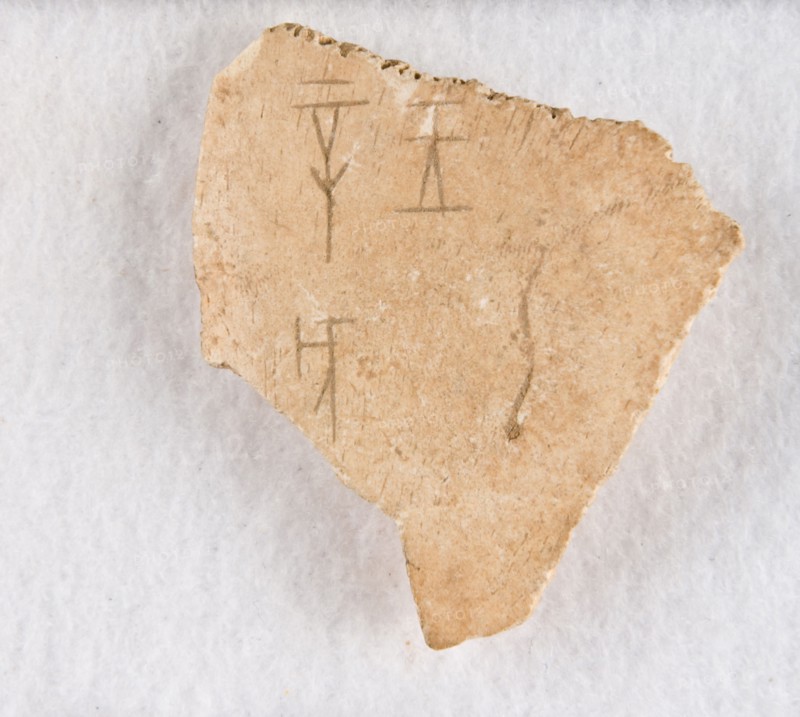Inscribed bone fragment ("oracle bone"), Late Shang dynasty, ca. 1300-1050 BCE. Creator: Unknown.