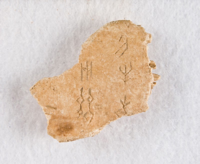 Inscribed bone fragment ("oracle bone"), Late Shang dynasty, ca. 1300-1050 BCE. Creator: Unknown.