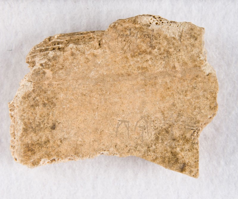 Inscribed bone fragment ("oracle bone"), Late Shang dynasty, ca. 1300-1050 BCE. Creator: Unknown.