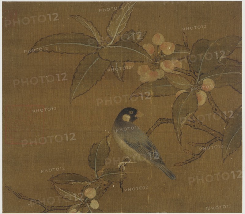 Java Sparrow on a berry branch, Ming dynasty, 15th century. Creator: Unknown.