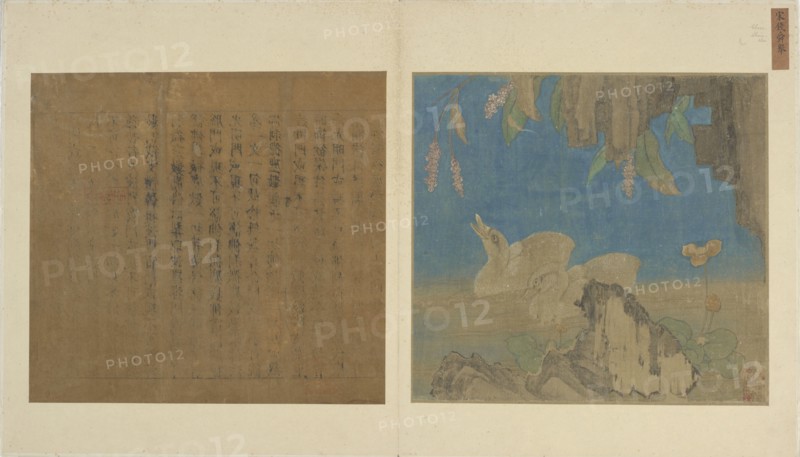 Ducklings, rocks, and flowers, Ming dynasty, 1368-1644. Creator: Unknown.