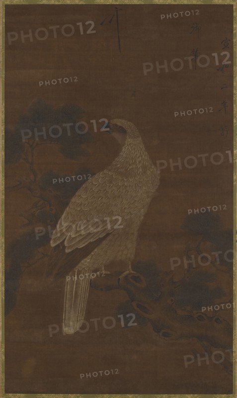 A White eagle on a pine branch, Ming or Qing dynasty, (17th century?). Creator: Unknown.