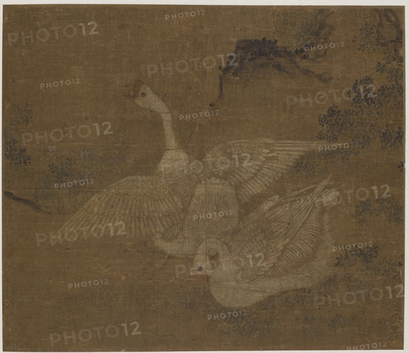Pair of domestic geese, Possibly Ming dynasty, 1368-1644. Creator: Unknown.