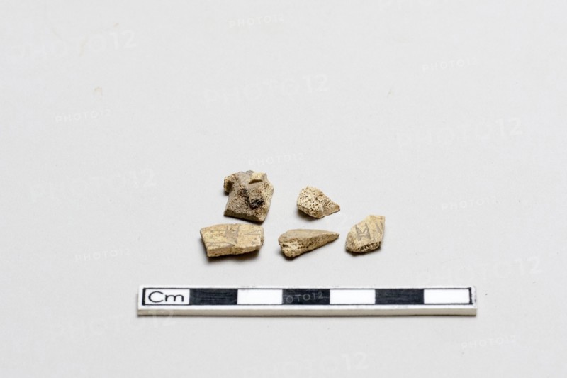 Fragments of Oracle Bones, Inscribed, Shang dynasty, ca. 1600 - ca. 1050 BCE. Creator: Unknown.