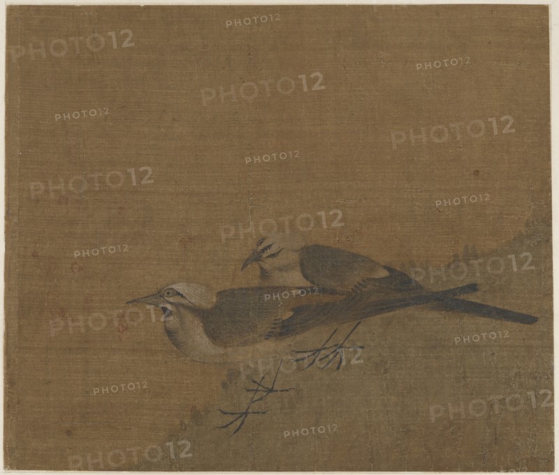 Two pied wagtails, Yuan dynasty, (14th century?). Creator: Unknown.
