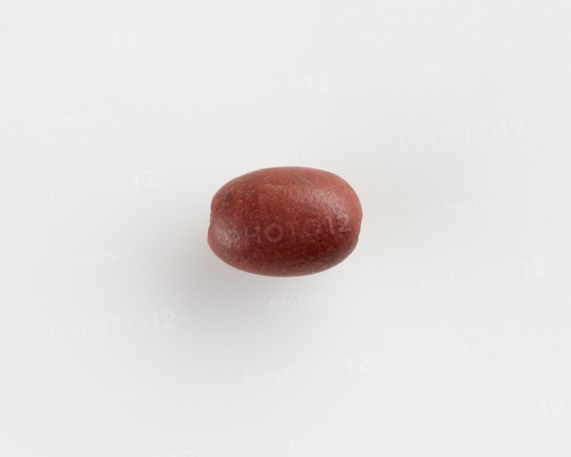 Bead, Roman period, late 4th-6th century. Creator: Unknown.