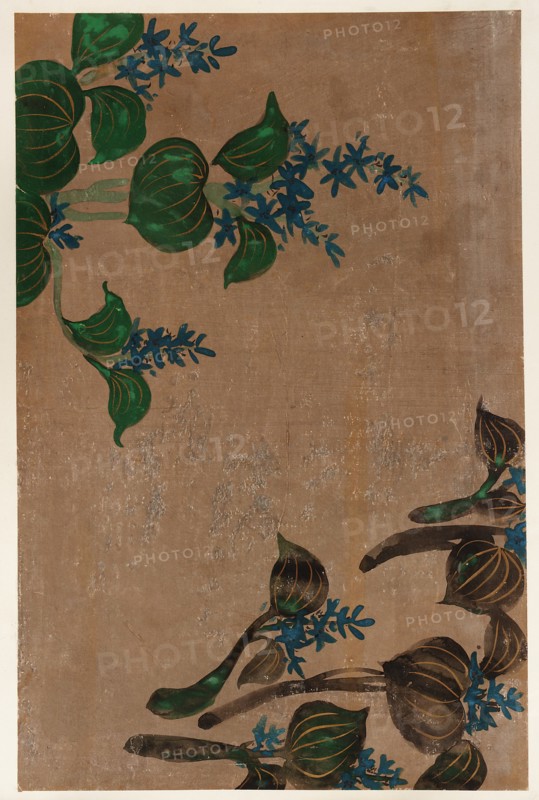 Water plants with blue flowers, Edo period, 1615-1868. Creator: Unknown.