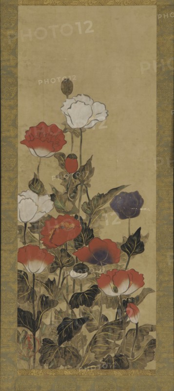 Poppies, Edo period, late 17th-late 19th century. Creator: Unknown.