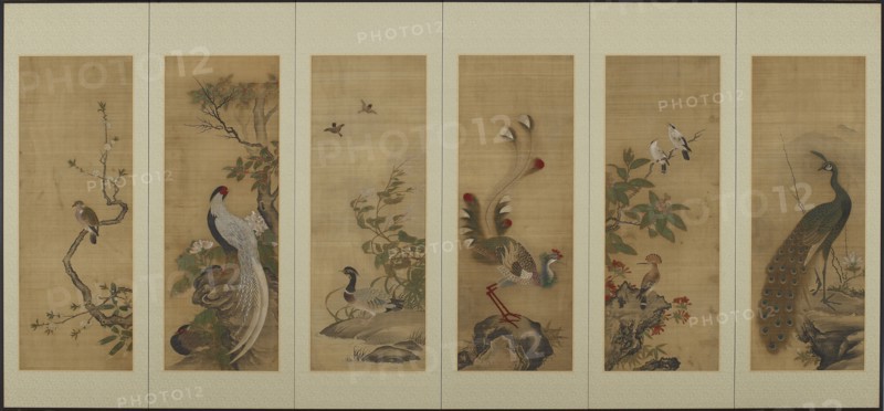 Birds and flowers, Edo period, 18th century. Creator: Unknown.