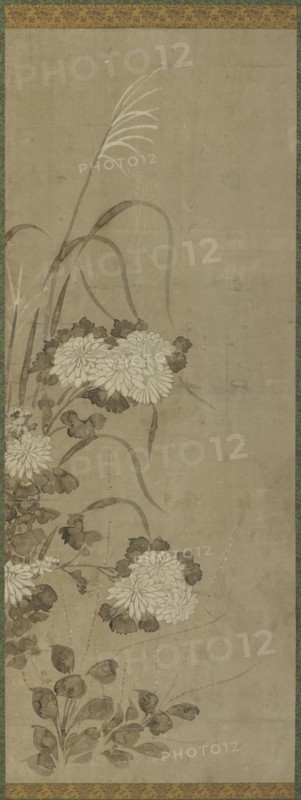 White chrysanthemums and grasses, Edo period, 1615-1868. Creator: Unknown.