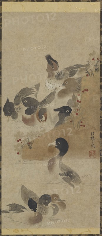 Ducks, Edo period, (18th century?). Creator: Unknown.
