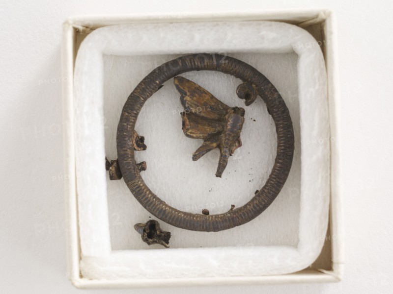 Ornament: dragonfly (in fragments), Goryeo period, 12th-13th century. Creator: Unknown.