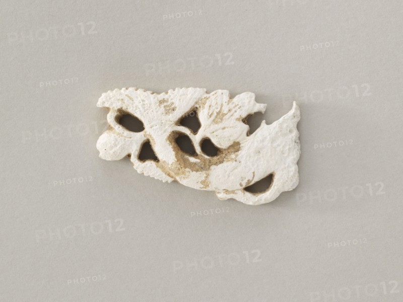 Ornament: fish and water plants, Goryeo period, 12th-13th century. Creator: Unknown.