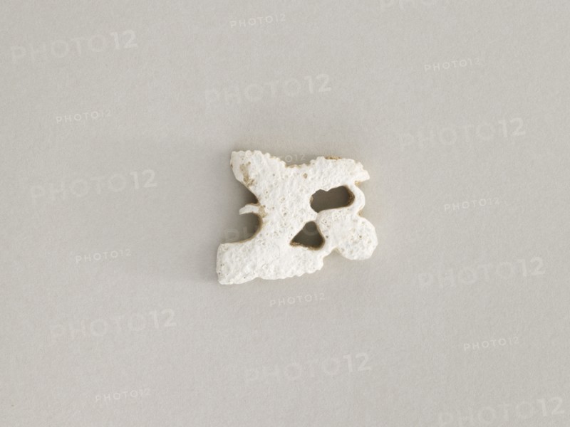 Ornament: fish and water plants, Goryeo period, 12th-13th century. Creator: Unknown.