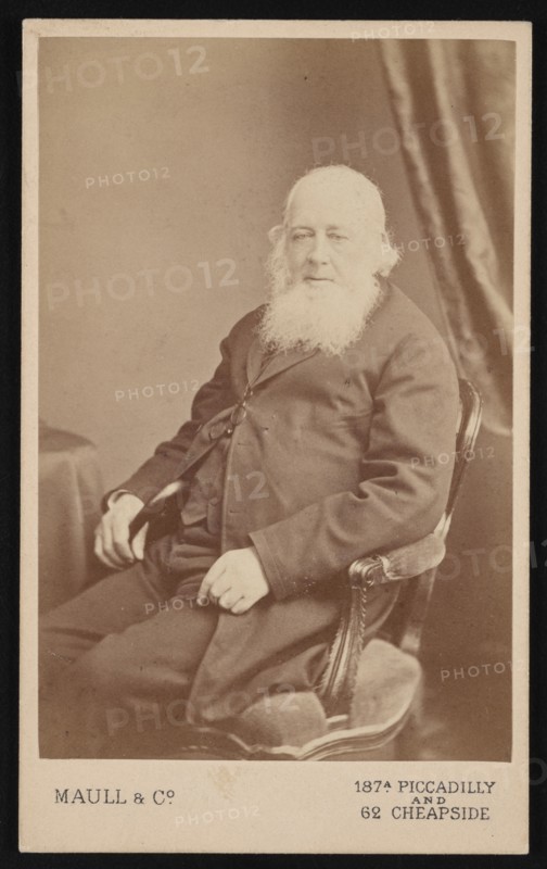 Portrait of John Gould (1804-1881), Before 1875. Creator: Maull & Co.