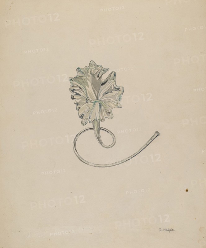 Flower (Lily), c. 1937. Creator: Grace Halpin.
