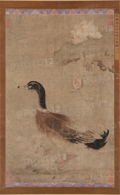 Drake and lotus flowers, Yuan dynasty, 1279-1368. Creator: Unknown.