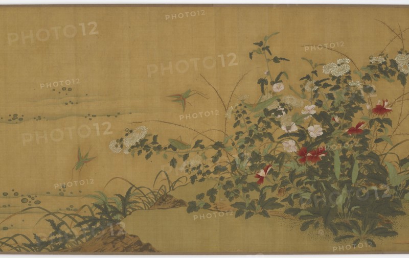 Flowers, Plants, and Insects, Ming dynasty, 16th century. Creator: Unknown.