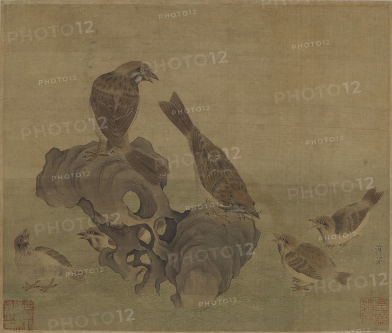Sparrows feeding their young, Ming or Qing dynasty, (17th century?). Creator: Unknown.