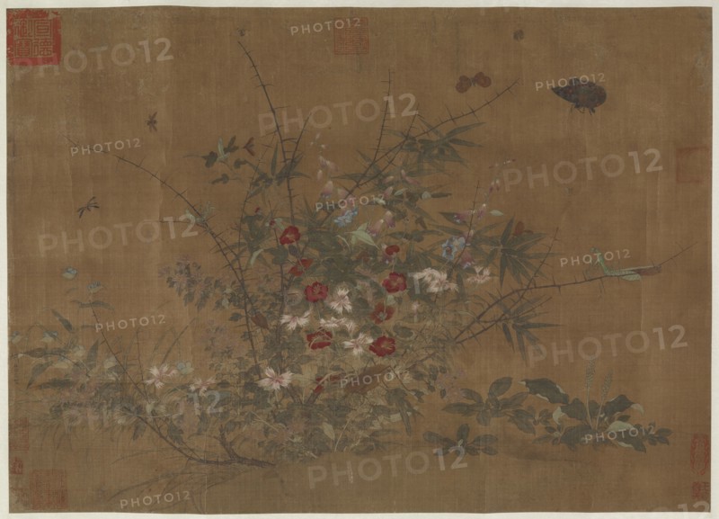 Flowers and insects, Ming dynasty, (15th century?). Creator: Unknown.