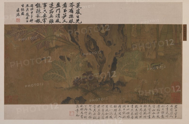 Bamboo, frog, and insects, Ming dynasty, 1368-1644. Creator: Unknown.