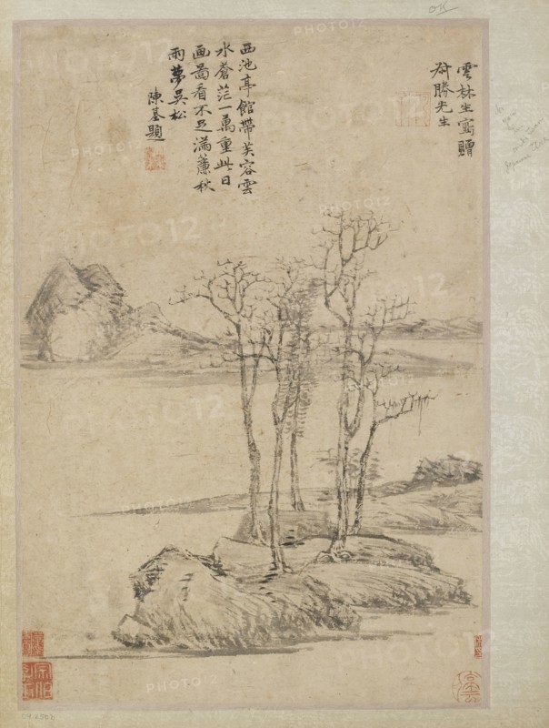 Five trees on a rocky promontory, Qing dynasty, 17th-18th century. Creator: Unknown.
