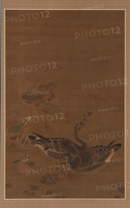 Two Geese Feeding in a Lotus Pond, Ming dynasty, 16th-17th century. Creator: Unknown.