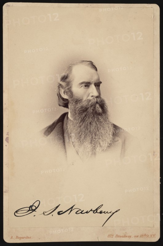 Portrait of John Strong Newberry (1822-1892), Between 1876 and 1887. Creator: Abraham Bogardus.