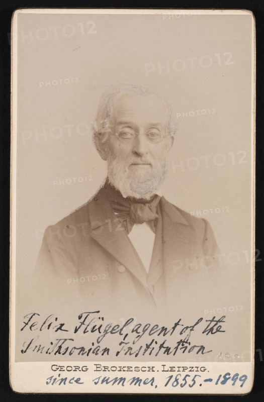 Portrait of Felix Flugel (1820-1904), 1894. Creator: Georg Conrad Adolph Brokesch.