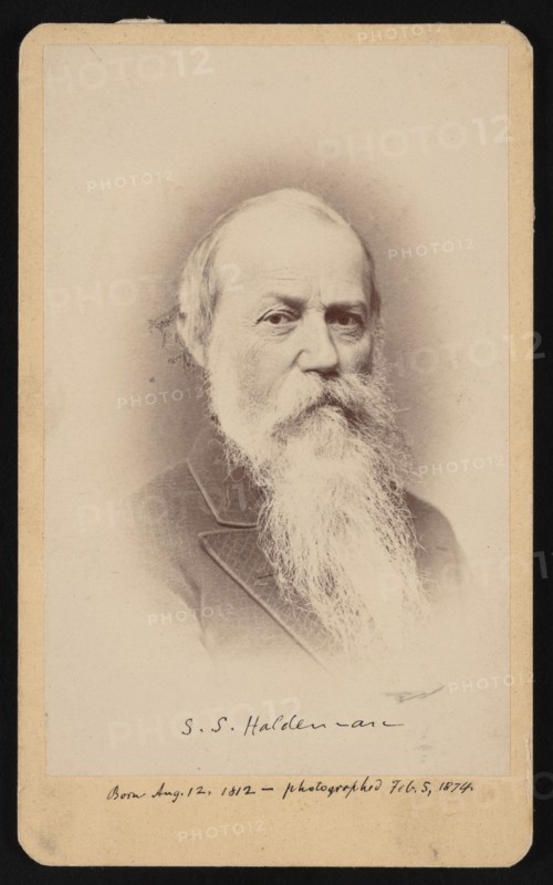 Portrait of Samuel Stehman Haldeman (1812-1880), February 5, 1874. Creator: FA Wenderoth & Co.