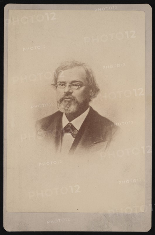 Portrait of Townend Glover (1813-1883), 1878. Creator: Samuel Montague Fassett.