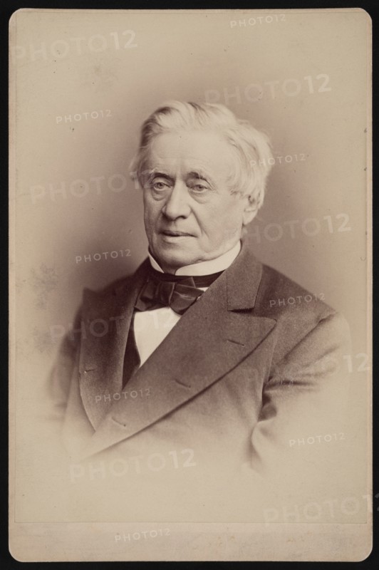 Portrait of Joseph Henry (1797-1878), 1876. Creator: Frederick Gutekunst.