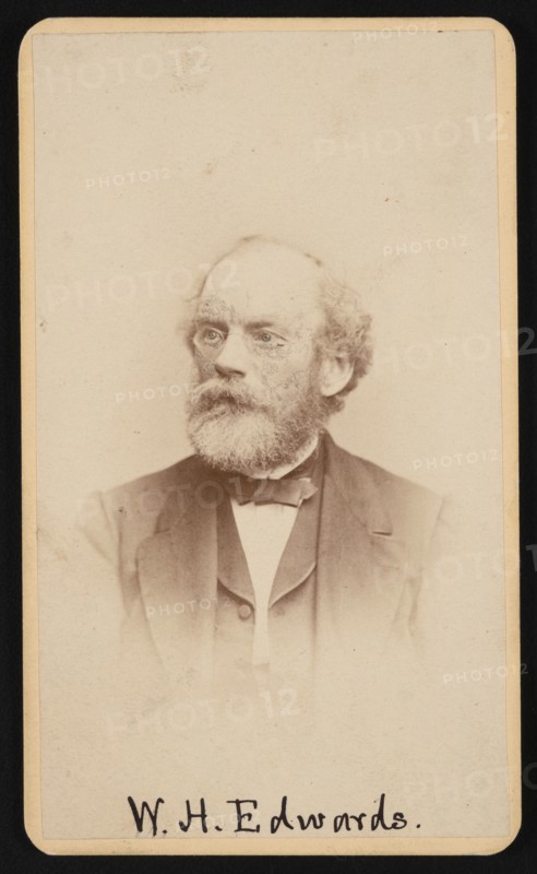 Portrait of William Henry Edwards (1822-1909), Circa 1870s/1880s. Creator: J & W Vincent.