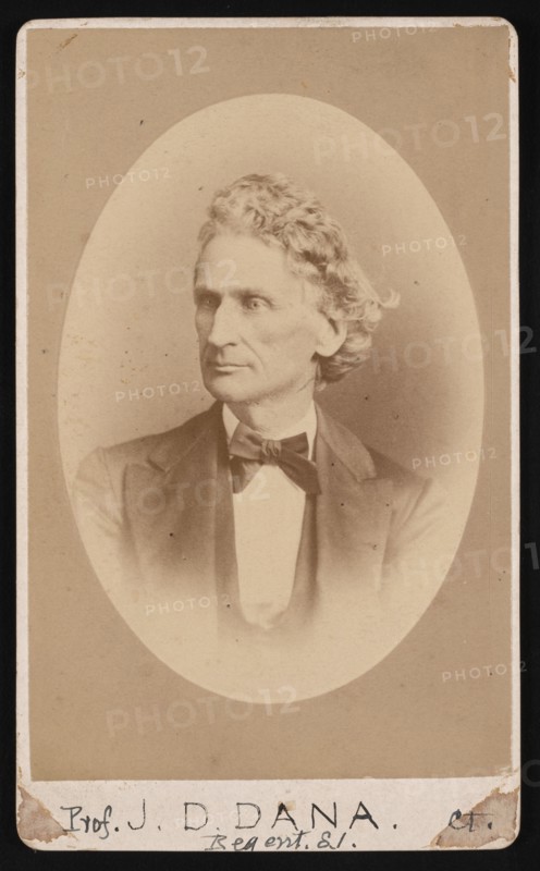 Portrait of James Dwight Dana (1813-1895), Before 1891. Creator: William Notman.