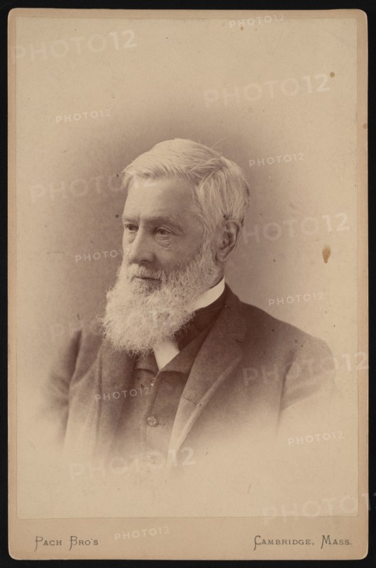 Portrait of Asa Gray (1810-1888), March 1887. Creator: Pach Bros.